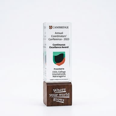 Cambridge Continuous Excellence Award 2023