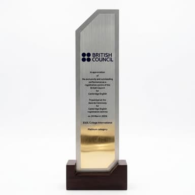 British Council Platinum Category Award 2024