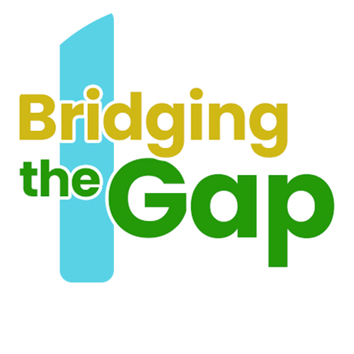 Bridging the Gap